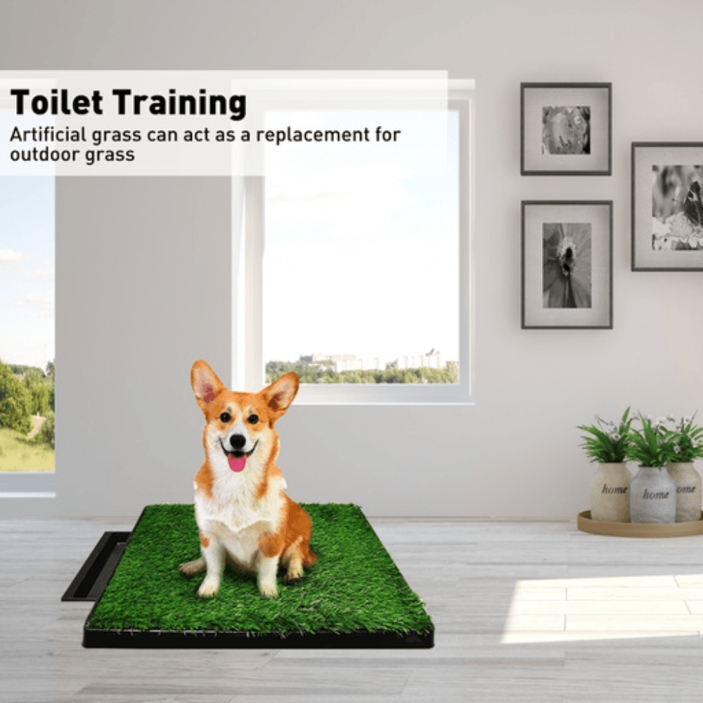 Momentous Living Indoor Dog Toilet Tray for Potty Training Grass Mat