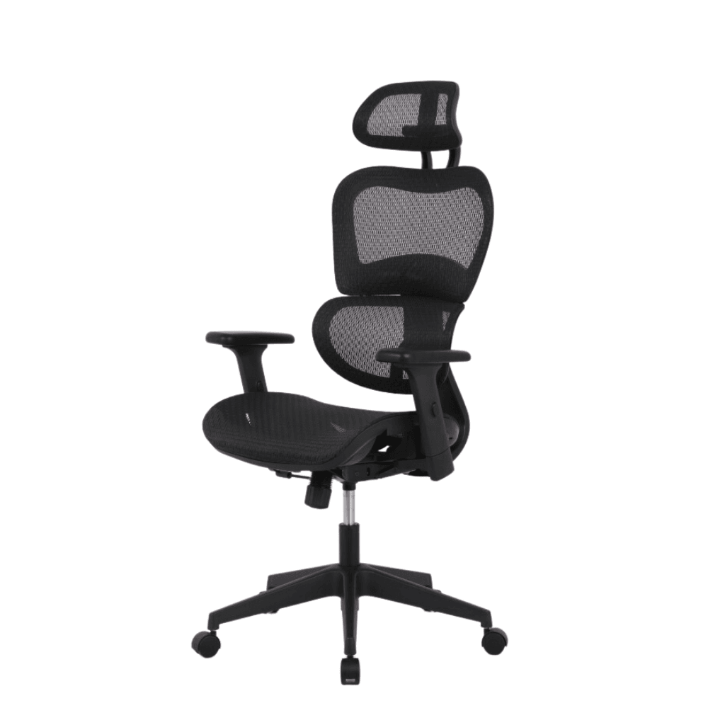 Elite Modern Ergonomic Mesh Executive Office Computer Working Chair - Black Fast shipping On sale