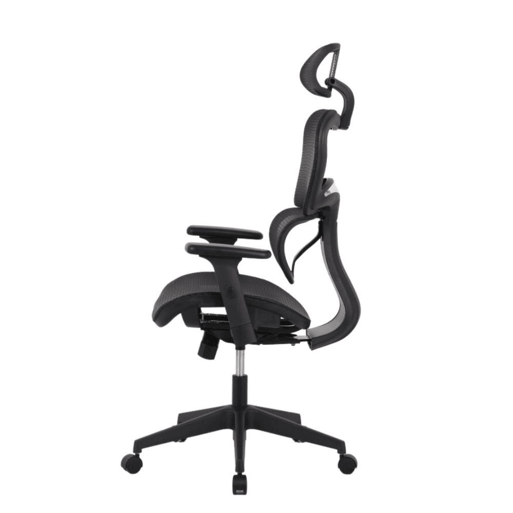 Elite Modern Ergonomic Mesh Executive Office Computer Working Chair - Black Fast shipping On sale