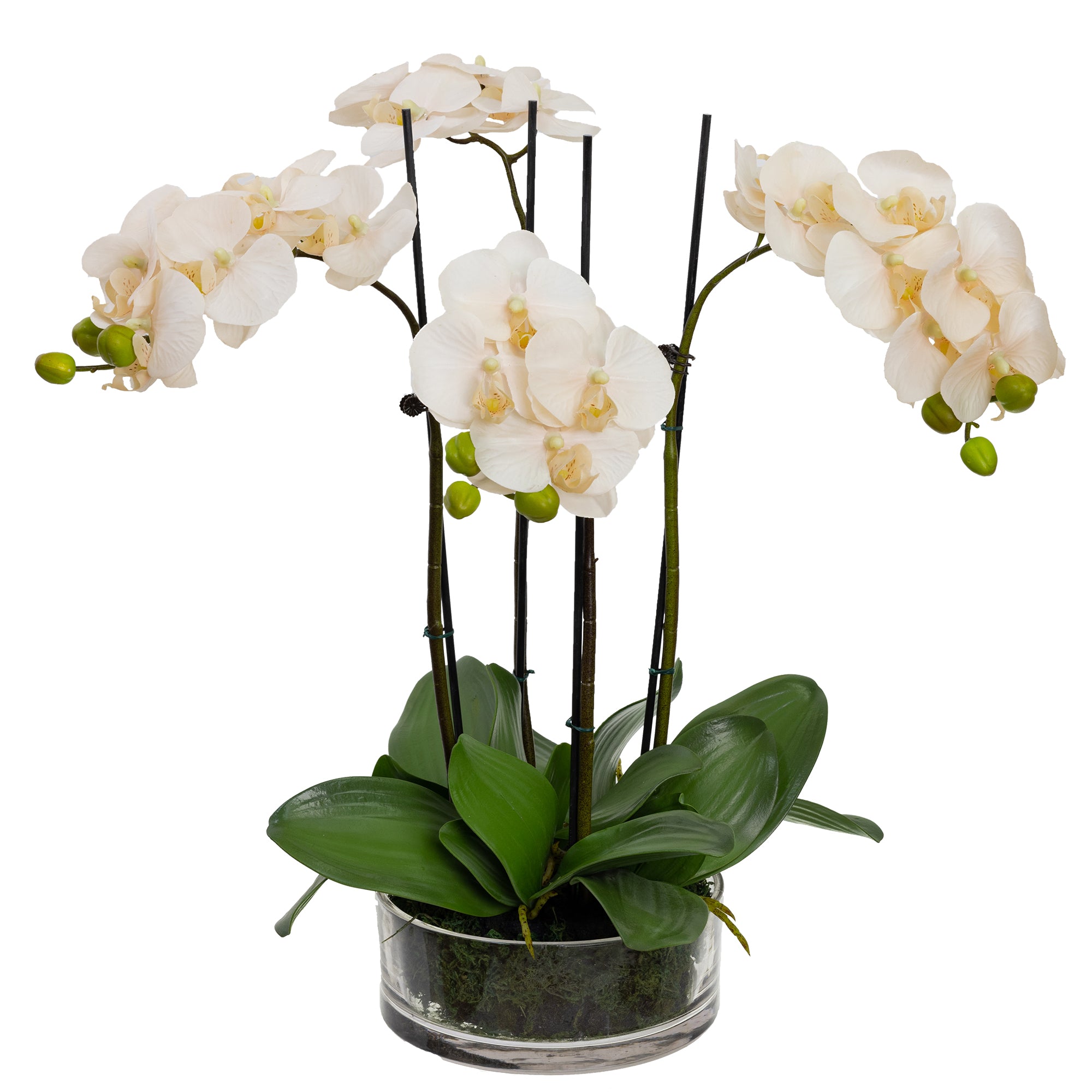 Apricot Orchid Artificial Fake Plant Decorative Arrangement 48cm In Glass Bowl Fast shipping On sale