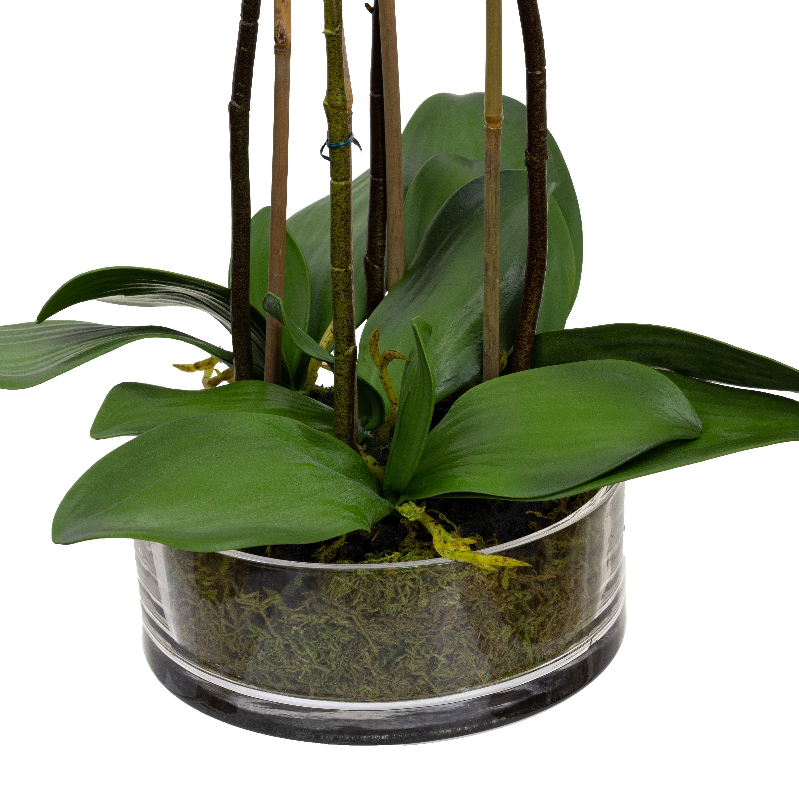 Apricot Orchid Artificial Fake Plant Decorative Arrangement 48cm In Glass Bowl Fast shipping On sale