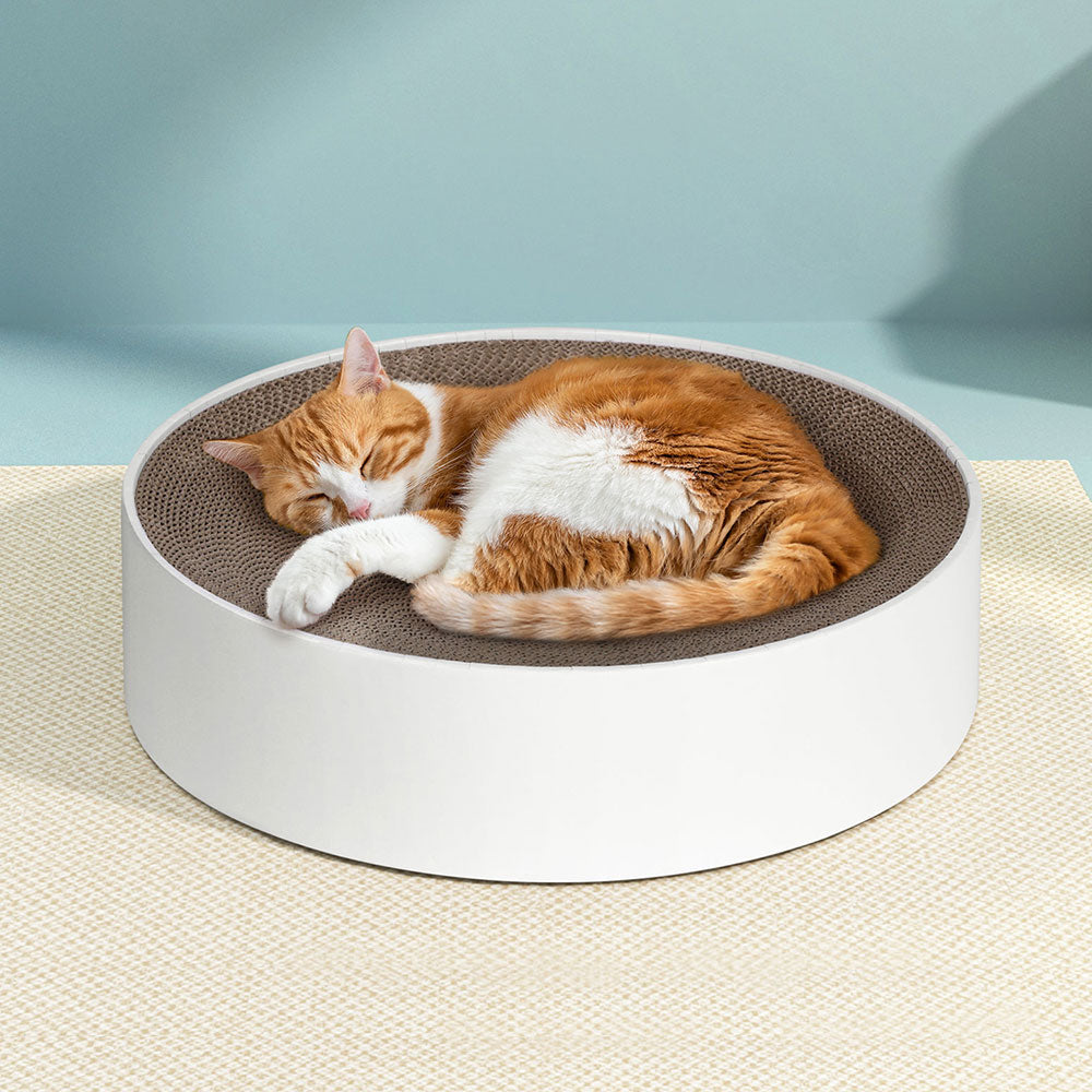 Cat Scratching Board Scratcher Cardboard Kitten Indoor Round Bed Catnip Cares Fast shipping On sale