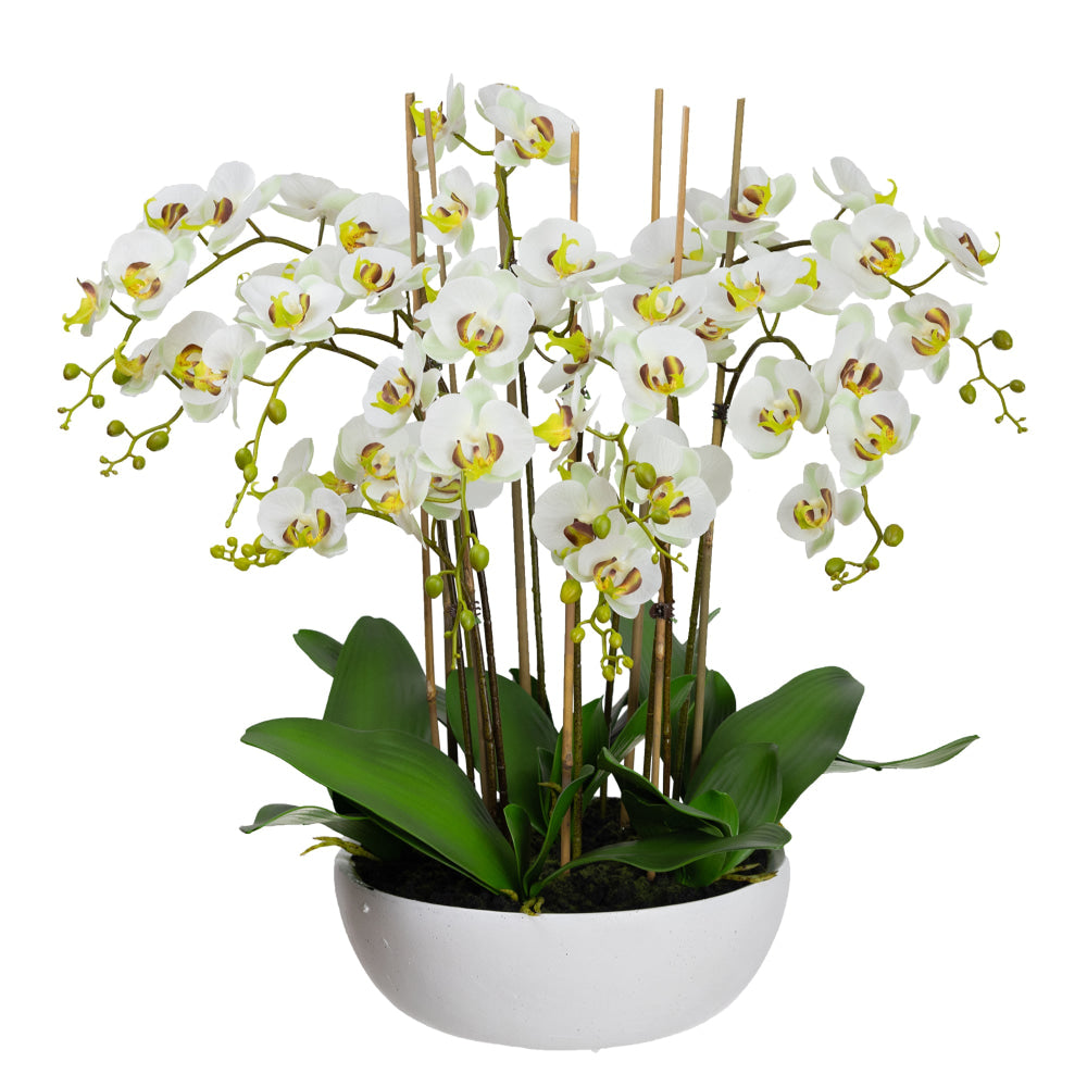 Apple Green Phal Orchid White Artificial Faux Plant Decorative Arrangement In Pot Fast shipping On sale