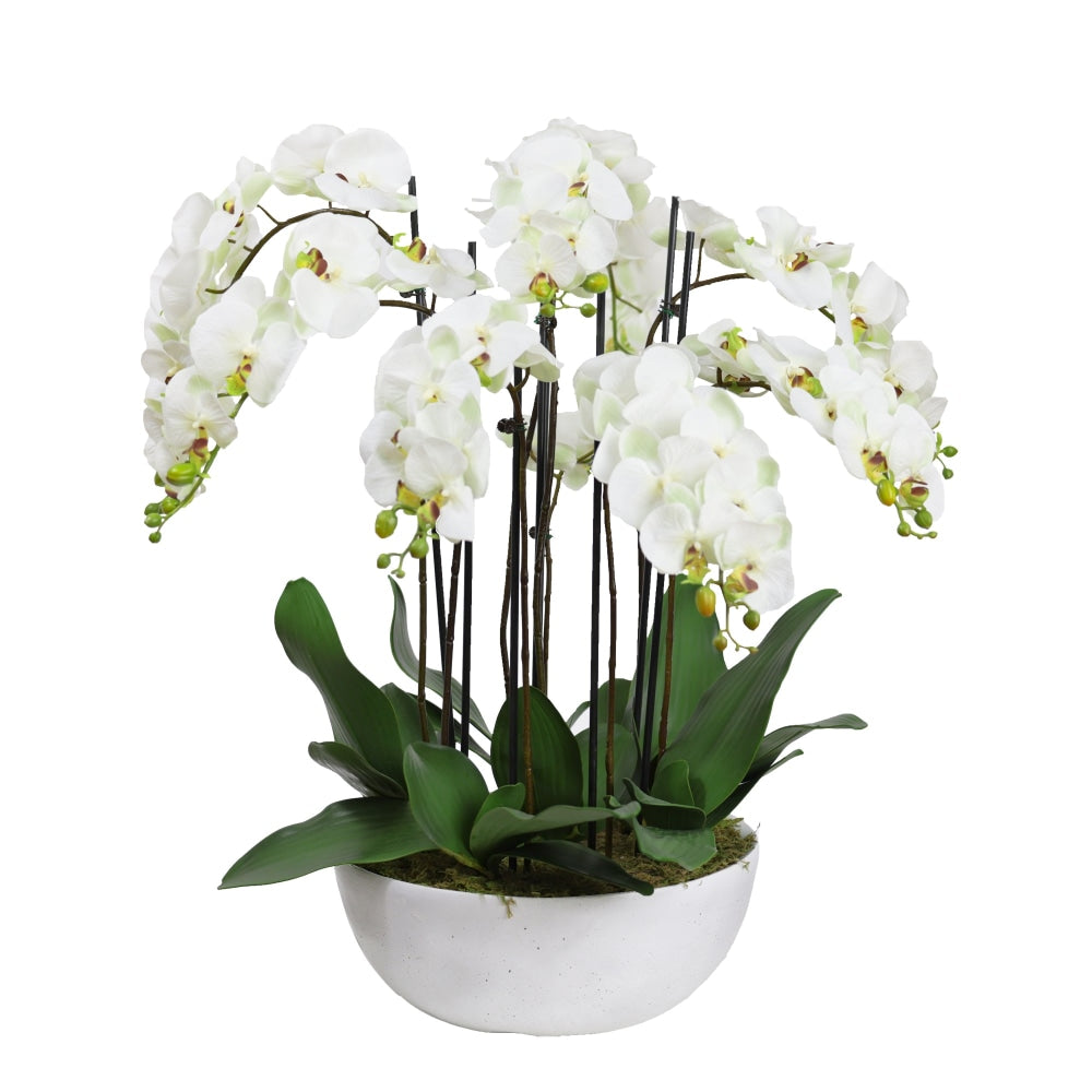 Apple Green Phal Orchid White Artificial Faux Plant Decorative Arrangement In Pot Fast shipping On sale