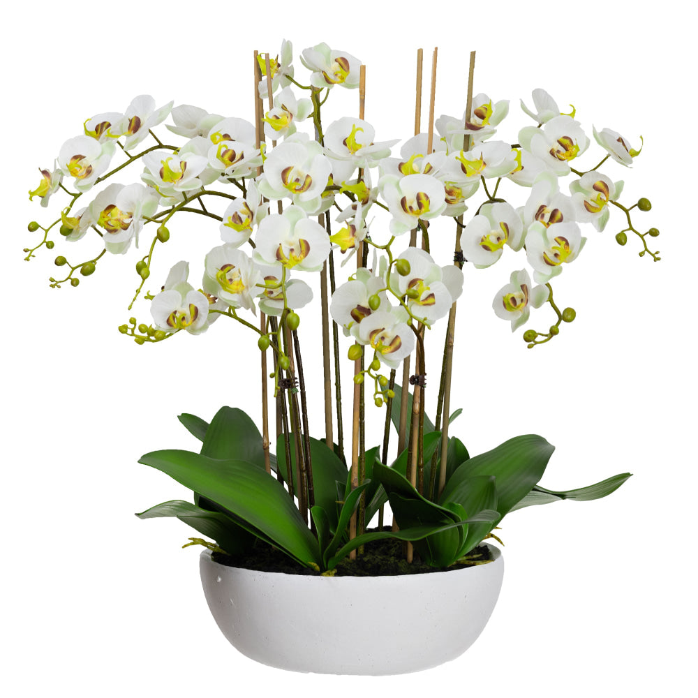 Apple Green Phal Orchid White Artificial Faux Plant Decorative Arrangement In Pot Fast shipping On sale