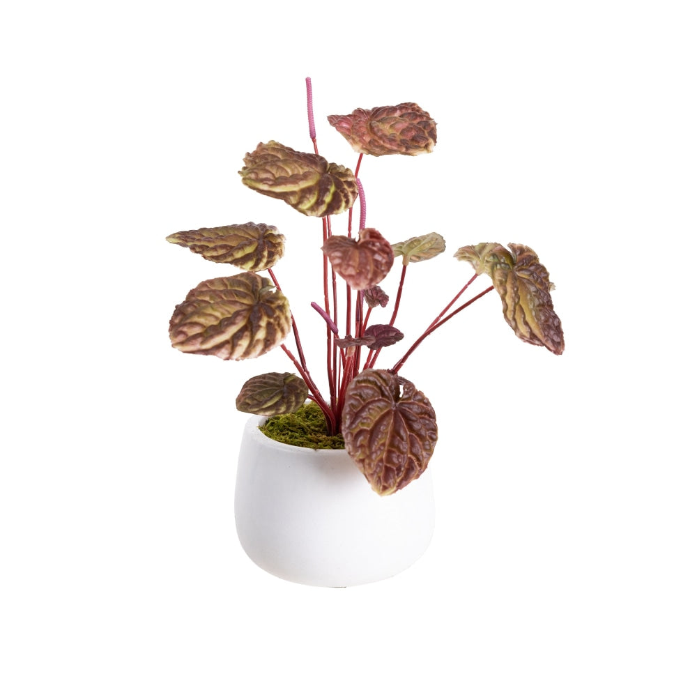 Burgundy Begonia Bush Artificial Faux Plant Decorative 20cm In Pot Fast shipping On sale