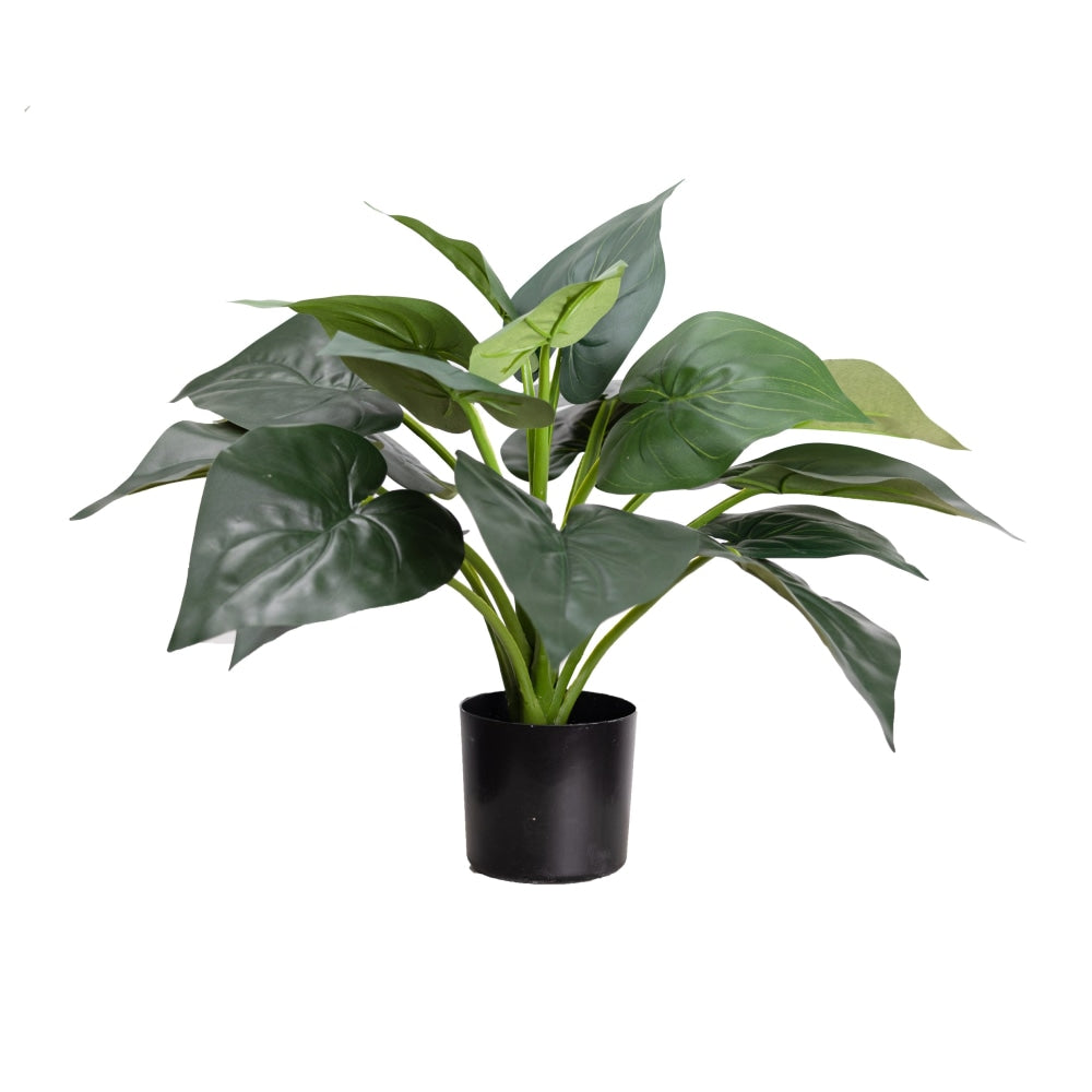Calathea Artificial Faux Plant Decorative 49cm In Pot Fast shipping On sale