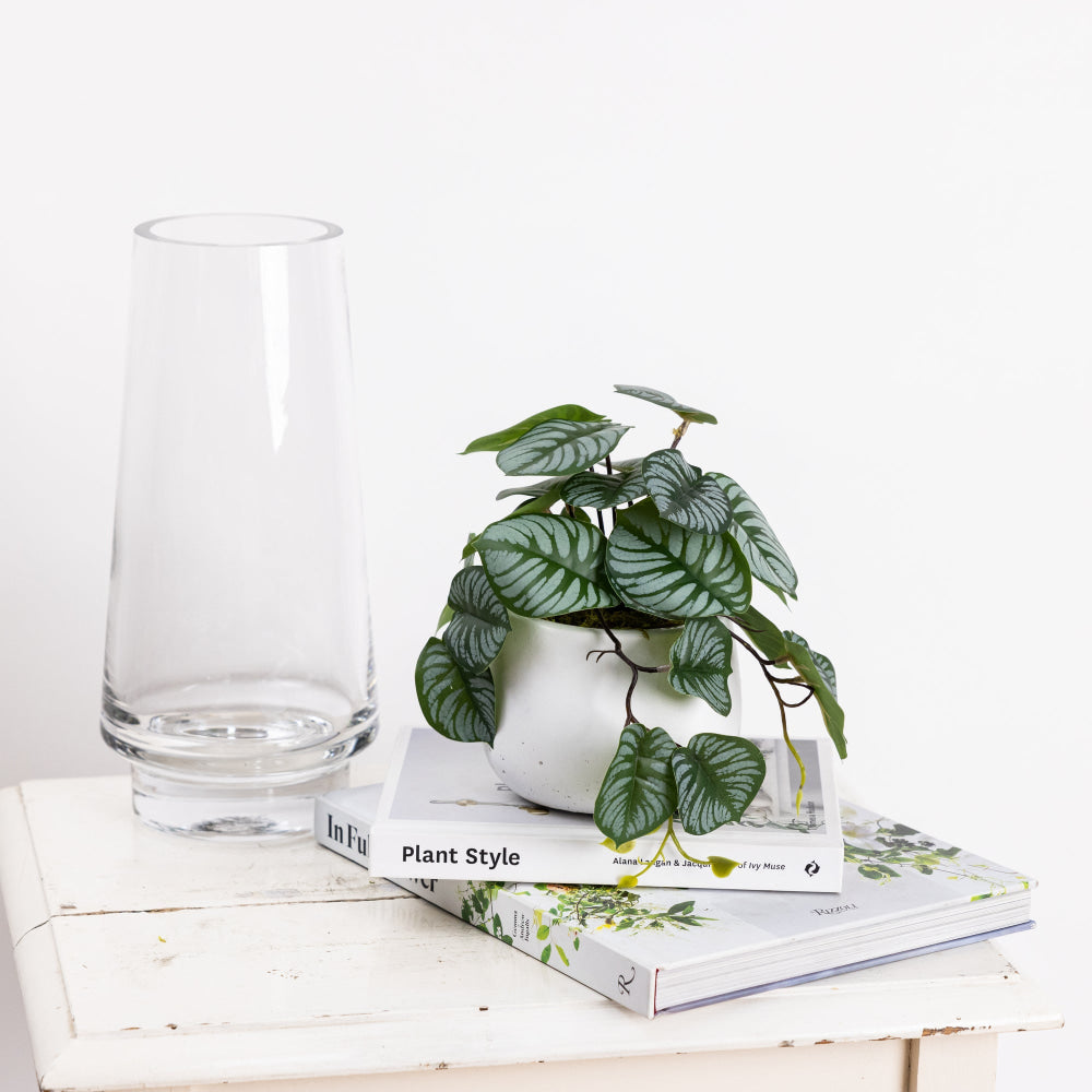 Calathea Bush Artificial Faux Plant Decorative 17cm In Pot Fast shipping On sale