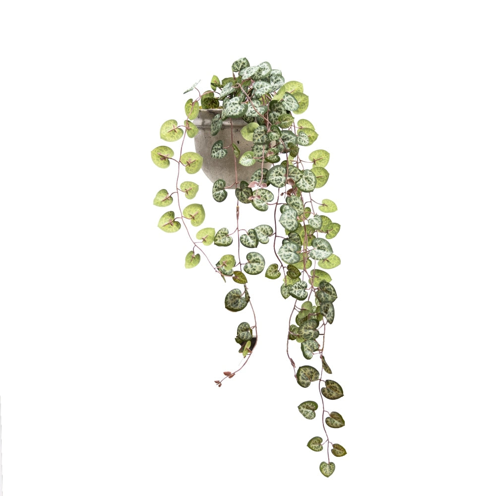 Ceropegia 47cm Artificial Faux Plant Decorative Hanging In Pot Green Fast shipping On sale