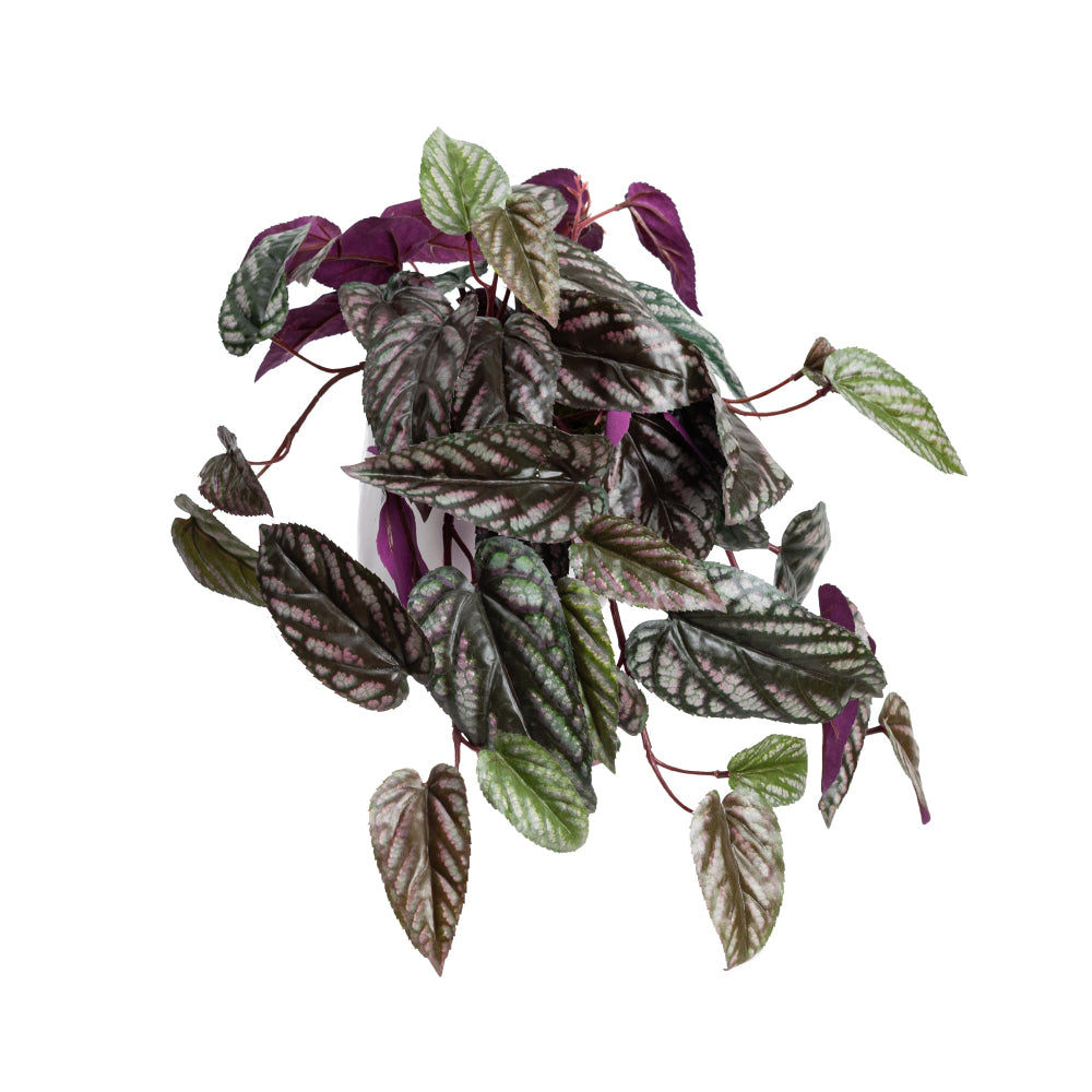 Cissus 25cm Artificial Plant Flower Arrangement Decorative In Pot Fast shipping On sale