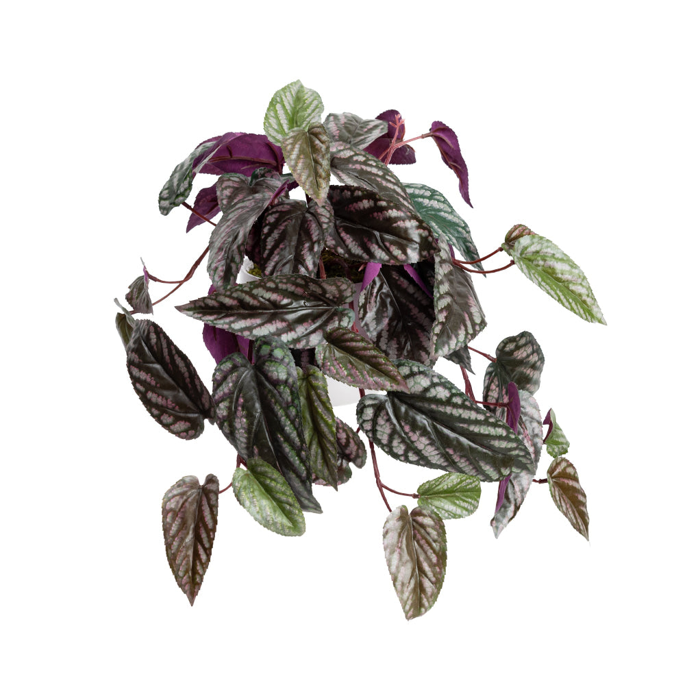 Cissus 25cm Artificial Plant Flower Arrangement Decorative In Pot Fast shipping On sale