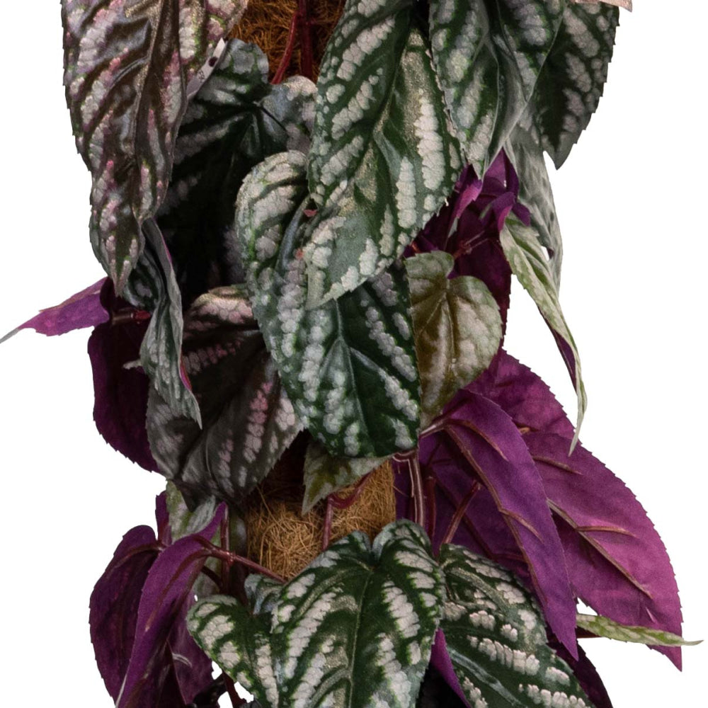 Cissus Discolour Plant 68cm Artificial Flower Arrangement Decorative On Pole Fast shipping sale