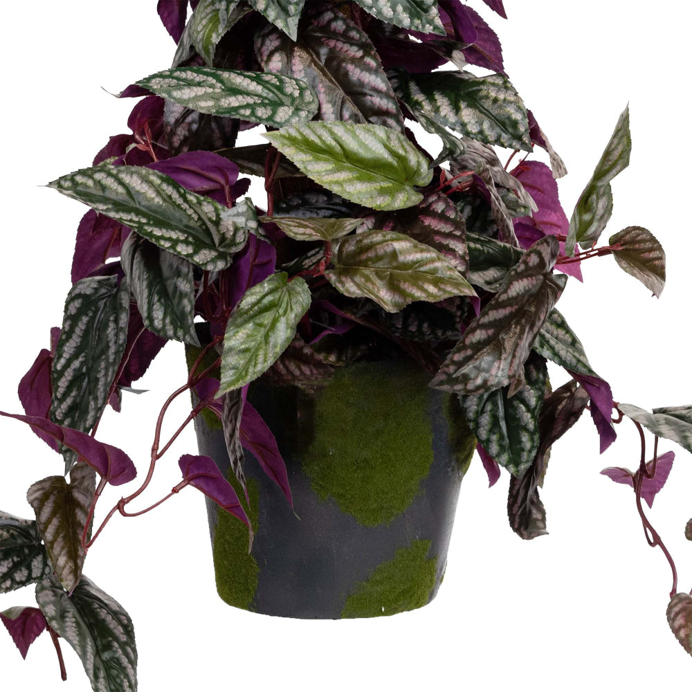 Cissus Discolour Plant 68cm Artificial Flower Arrangement Decorative On Pole Fast shipping sale