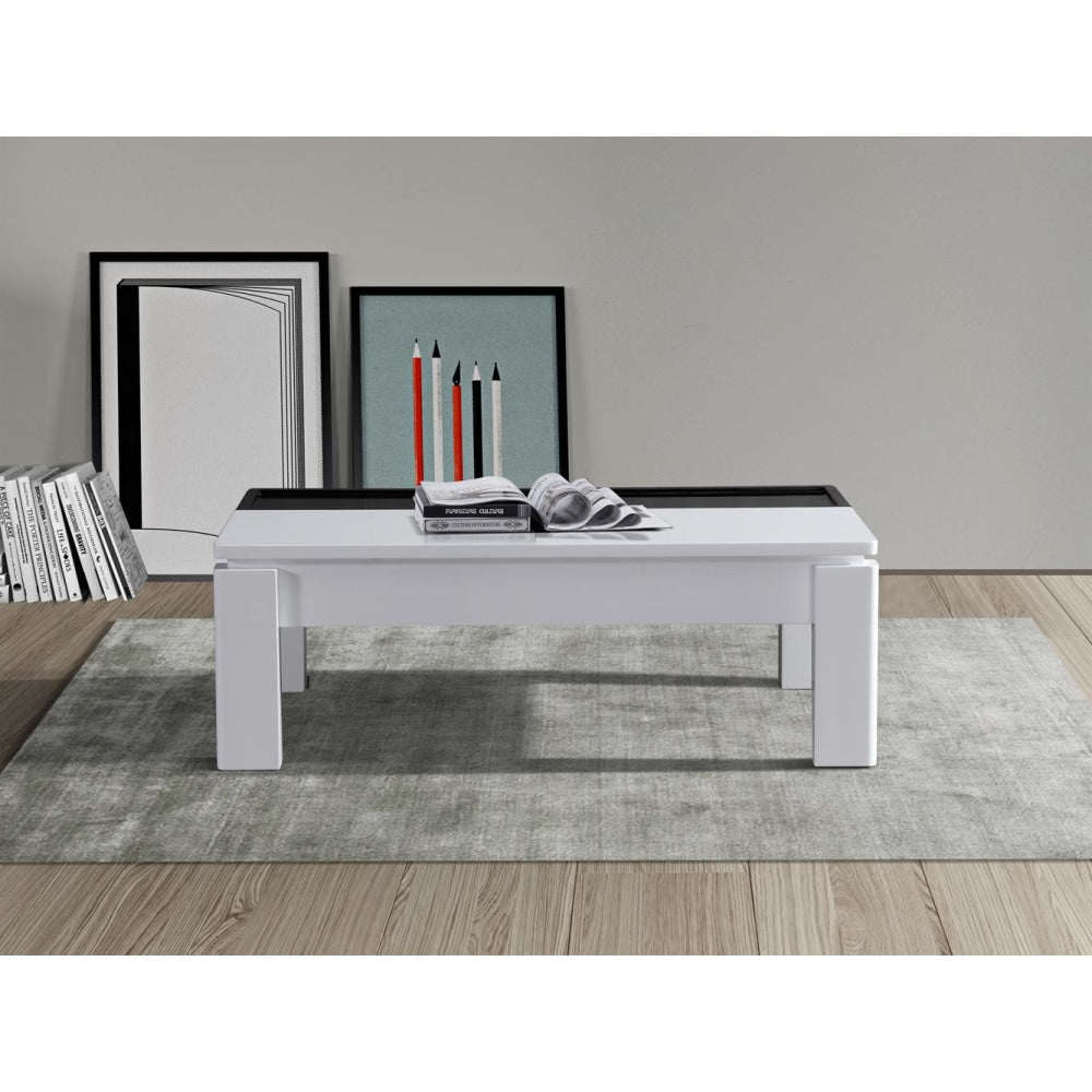 Coffee Table High Gloss Finish Lift Up Top MDF Black & White Colour Interior Storage Fast shipping On sale