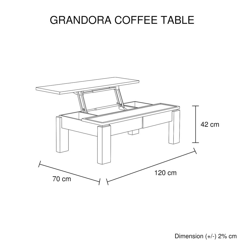 Coffee Table High Gloss Finish Lift Up Top MDF Black & White Colour Interior Storage Fast shipping On sale