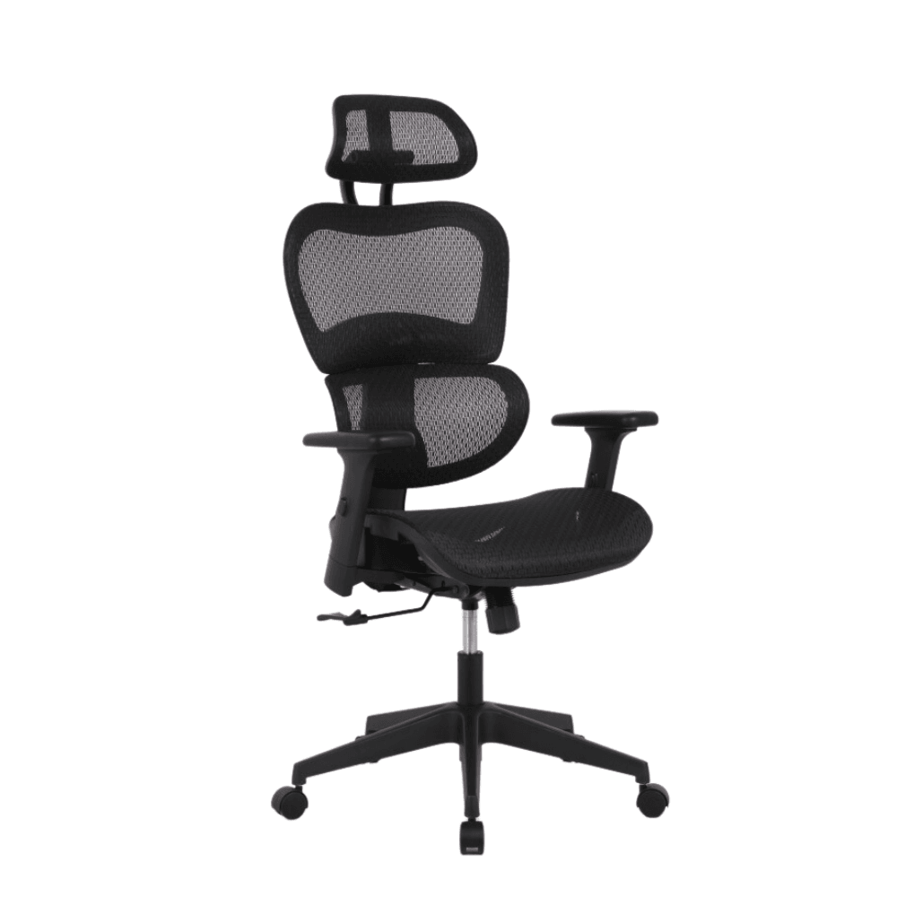 Elite Modern Ergonomic Mesh Executive Office Computer Working Chair - Black Fast shipping On sale