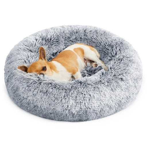 Feandrea Dog Bed with Removable Washable Cover 50cm Grey Cares Fast shipping On sale