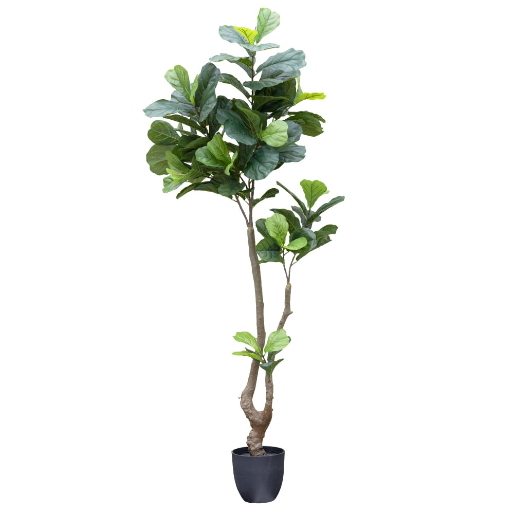 Fiddle Leaf Tree Artificial Faux Plant Decorative 195cm Fast shipping On sale