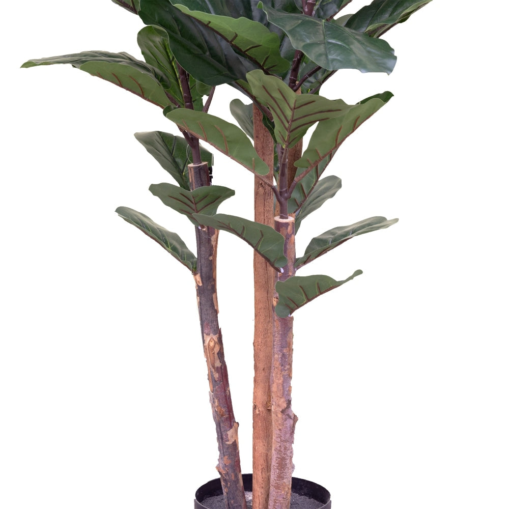 Fiddle Plant 150cm Artificial Faux Tree Decorative Green Fast shipping On sale