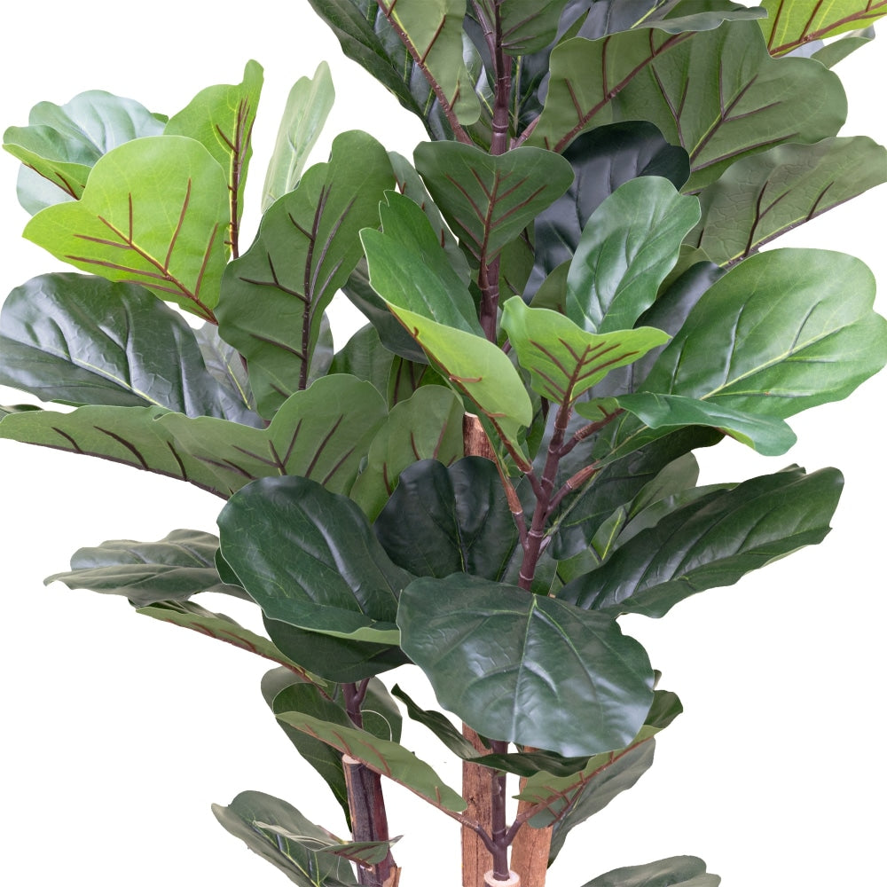 Fiddle Plant 150cm Artificial Faux Tree Decorative Green Fast shipping On sale