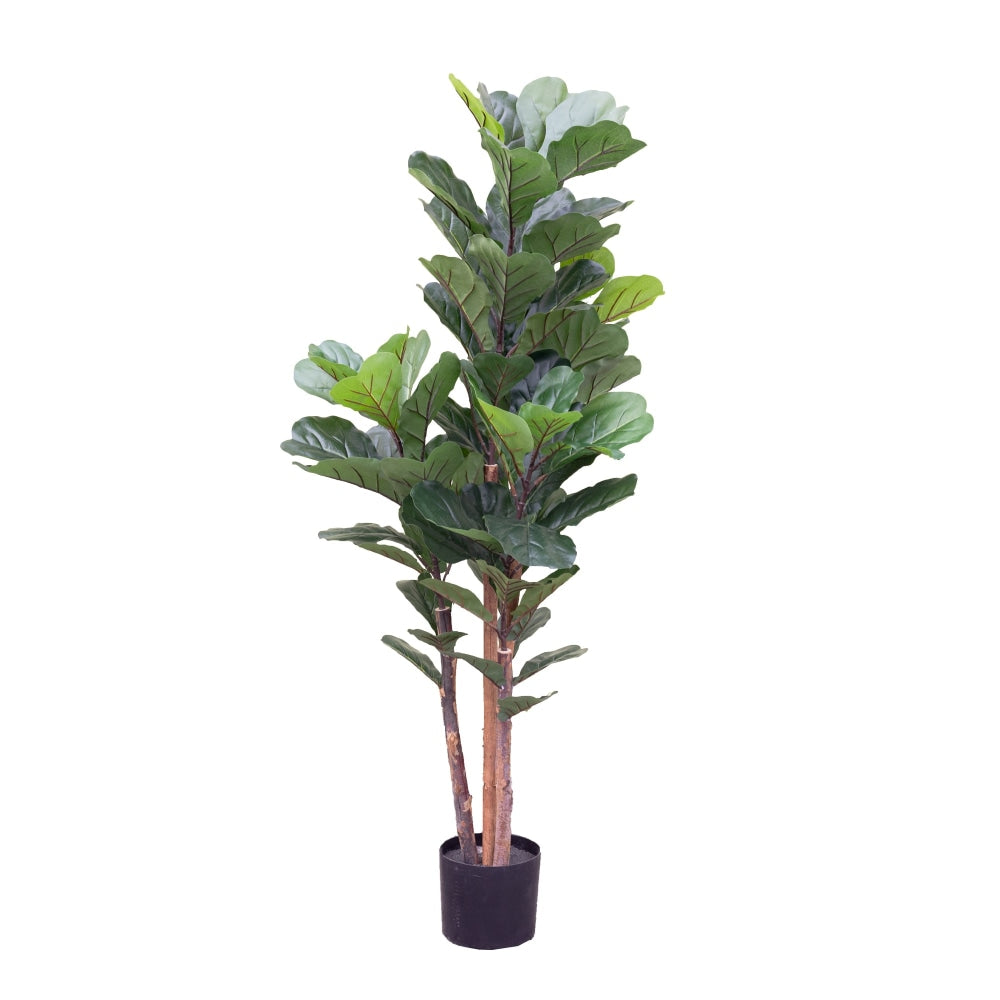 Fiddle Plant 150cm Artificial Faux Tree Decorative Green Fast shipping On sale