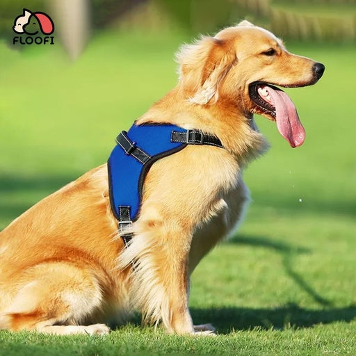 Floofi Dog Pet Harness with Hand Strap Size XXL - Blue Cares Fast shipping On sale