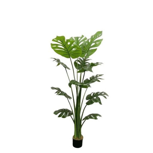 Gominimo Artificial Plant Décor Monstera with Black Planter 150cm Plants Fast shipping On sale