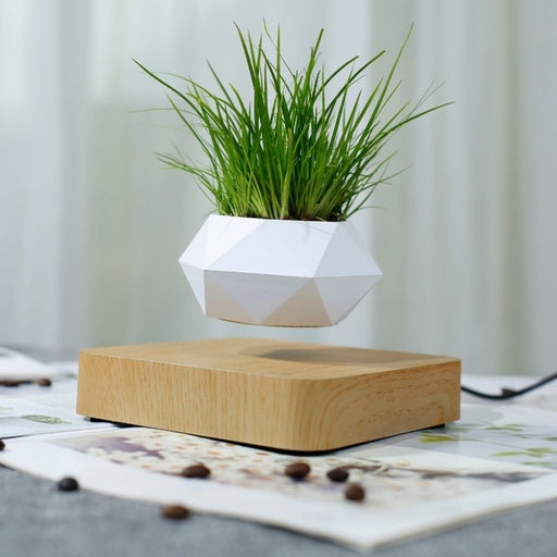 Gominimo Magnetic Levitating Plant White Pot Desk Decor Fast shipping On sale