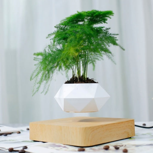 Gominimo Magnetic Levitating Plant White Pot Desk Decor Fast shipping On sale