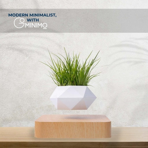 Gominimo Magnetic Levitating Plant White Pot Desk Decor Fast shipping On sale