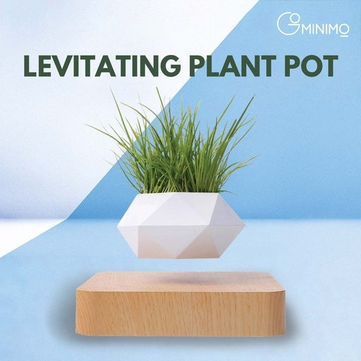 Gominimo Magnetic Levitating Plant White Pot Desk Decor Fast shipping On sale