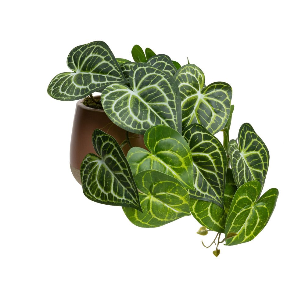 Green Caladium 35cm Artificial Plant Flower Arrangement Decorative In Luxe Pot Fast shipping On sale