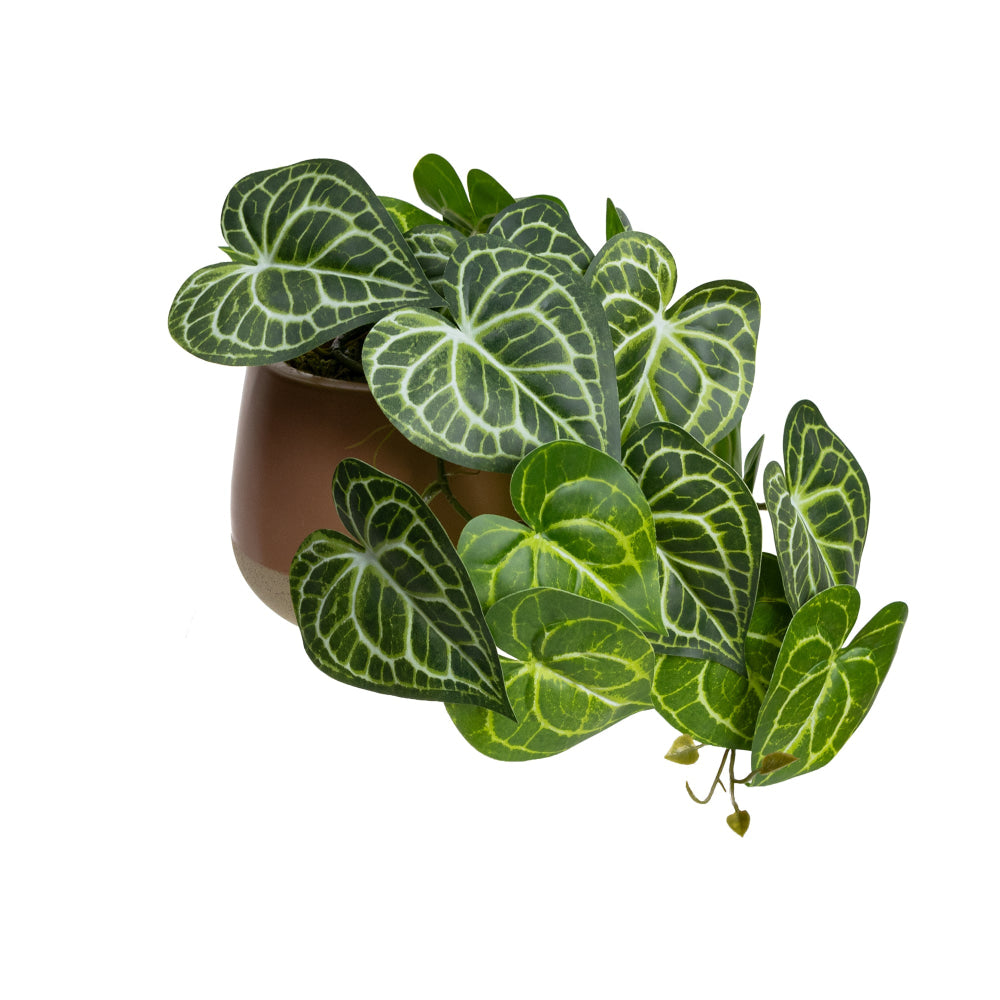 Green Caladium 35cm Artificial Plant Flower Arrangement Decorative In Luxe Pot Fast shipping On sale