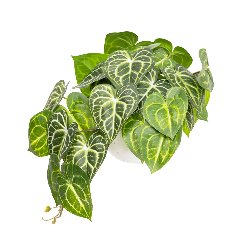 Green Caladium Bush 46cm Artificial Faux Plant Decorative In Pot Fast shipping On sale