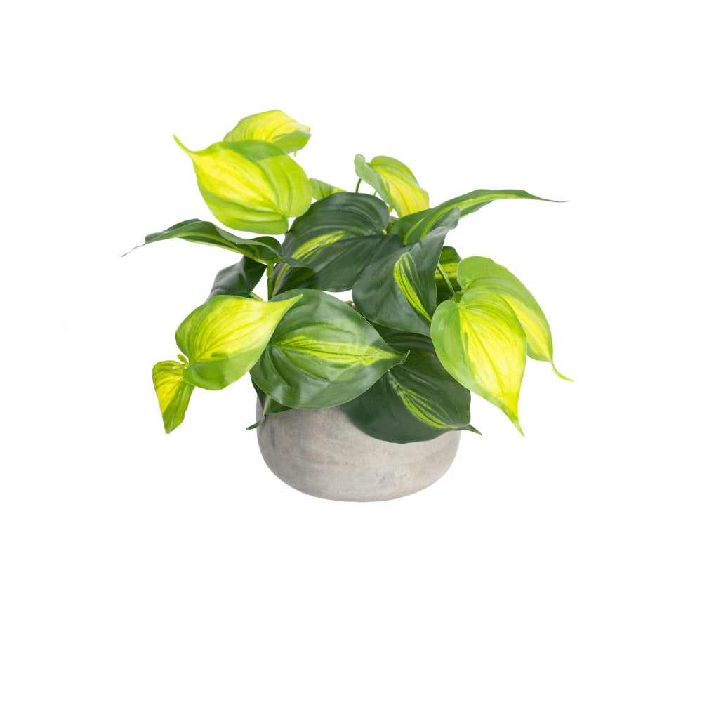 Holland Bush Artificial Faux Plant Decorative In Pot Set Fast shipping On sale