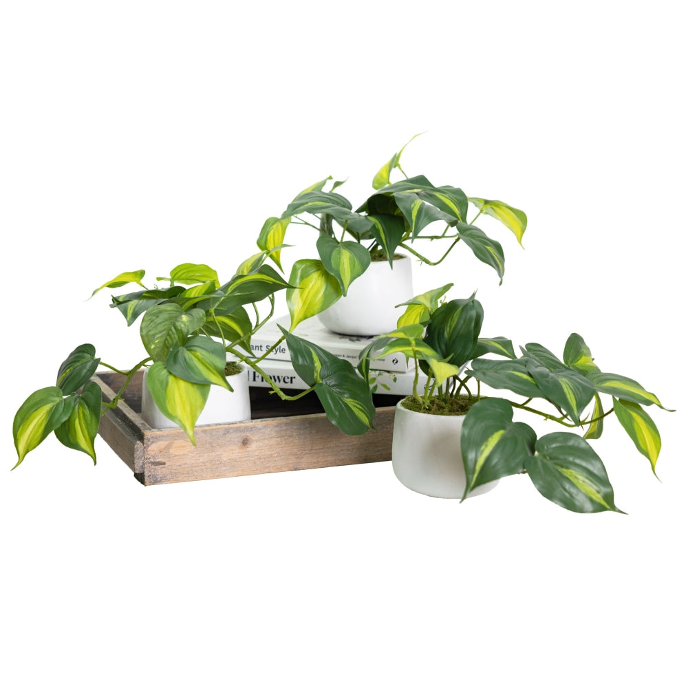 Holland Bush Artificial Faux Plant Decorative In Pot Set Fast shipping On sale