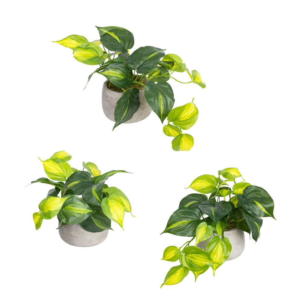 Holland Bush Artificial Faux Plant Decorative In Pot Set Fast shipping On sale