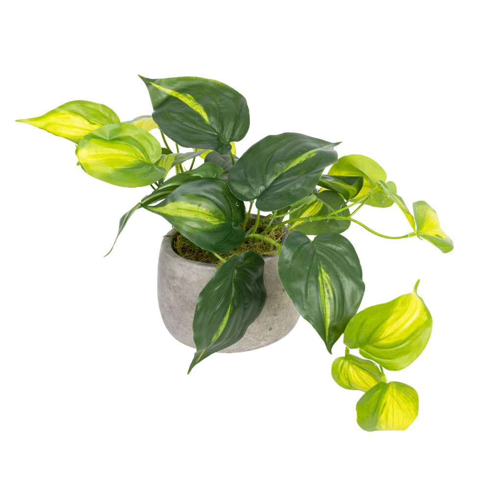 Holland Bush Artificial Faux Plant Decorative In Pot Set Fast shipping On sale