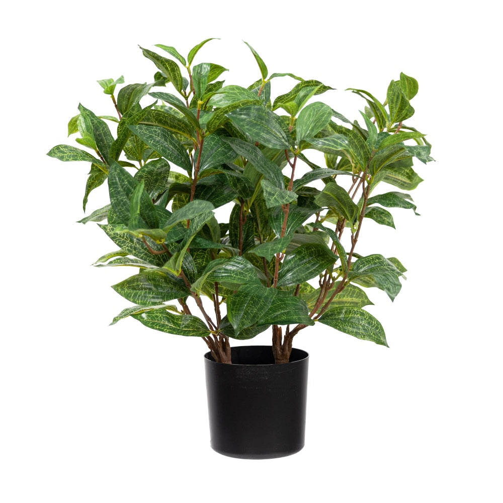 Jewel Orchid Bush 48cm Artificial Faux Plant Decorative In Pot Green Fast shipping On sale