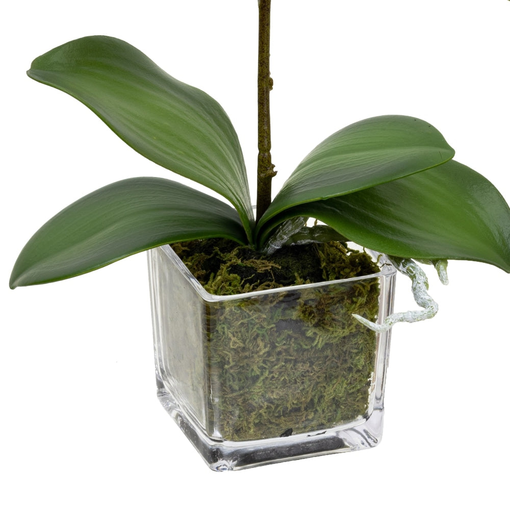 Orchid 32cm White Artificial Faux Plant Decorative Arrangement In Square Glass Fast shipping On sale