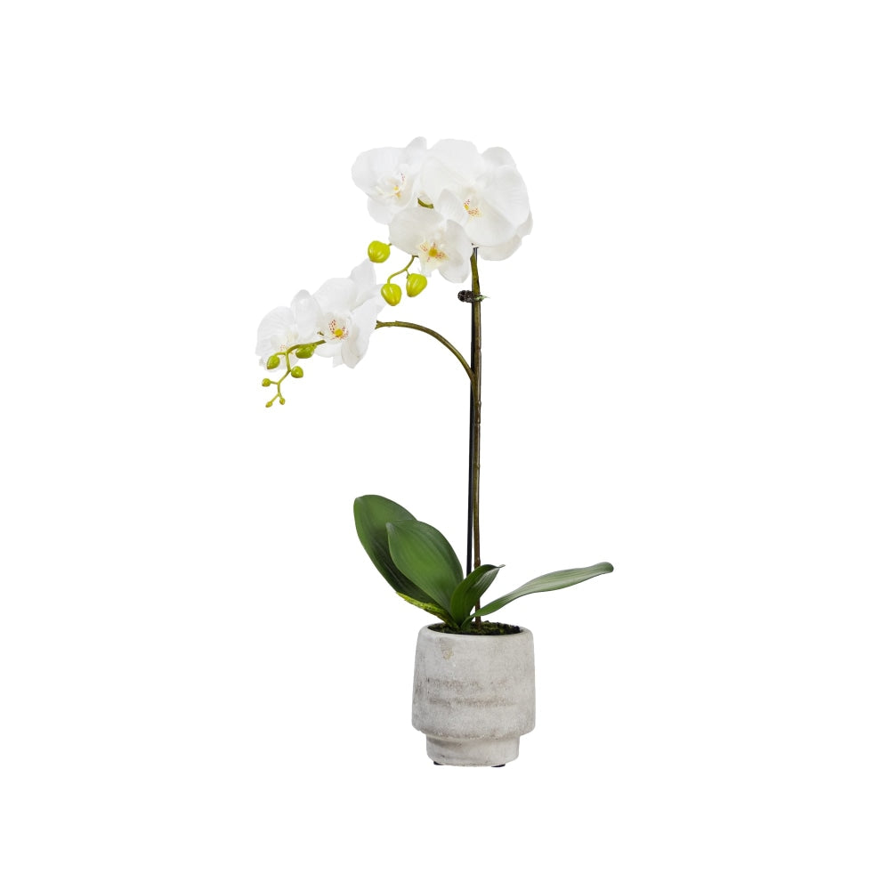 Orchid 52cm White Artificial Faux Plant Decorative Arrangement In Concrete Pot Fast shipping On sale