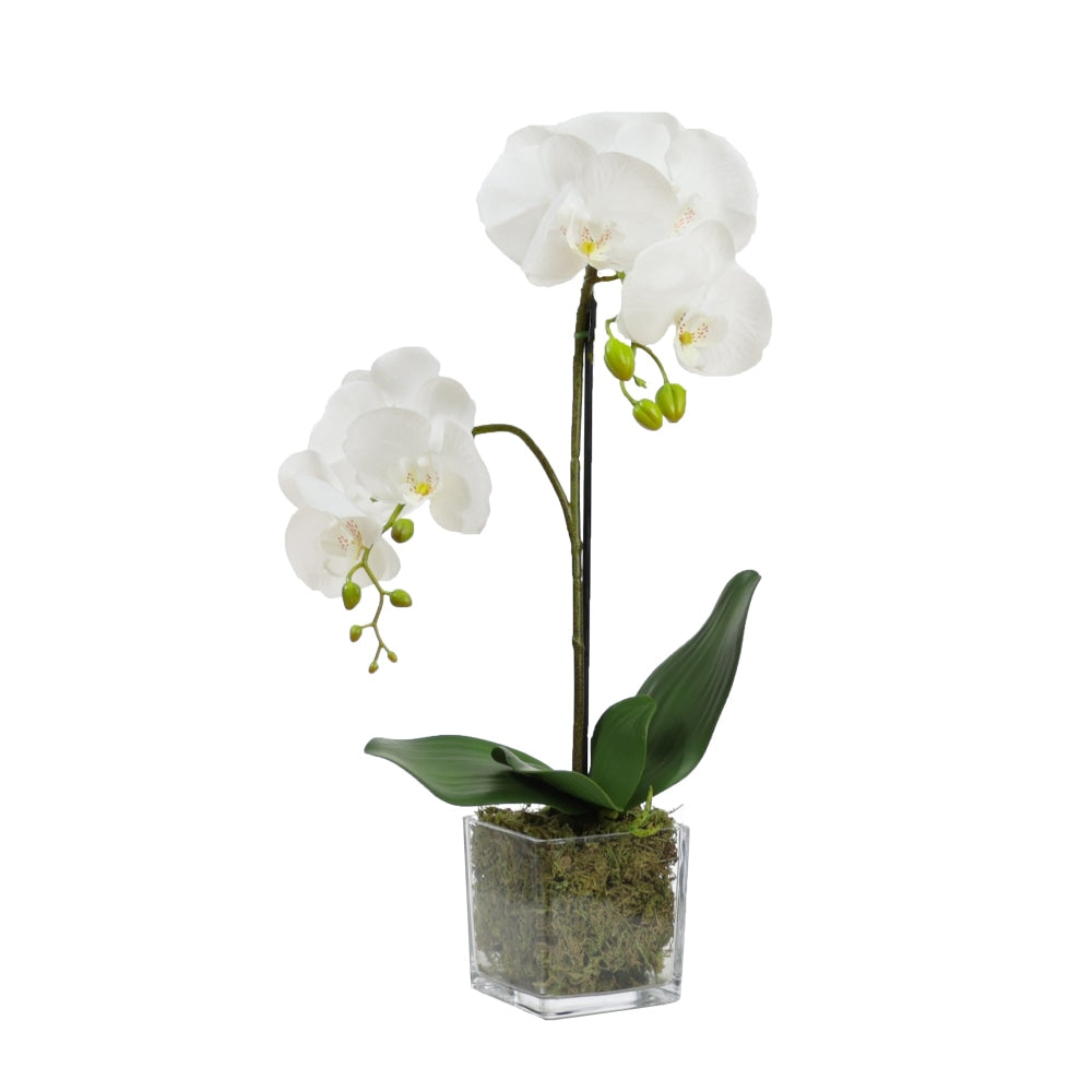 Orchid 56cm Artificial Faux Plant Decorative Arrangement In Square Glass Fast shipping On sale