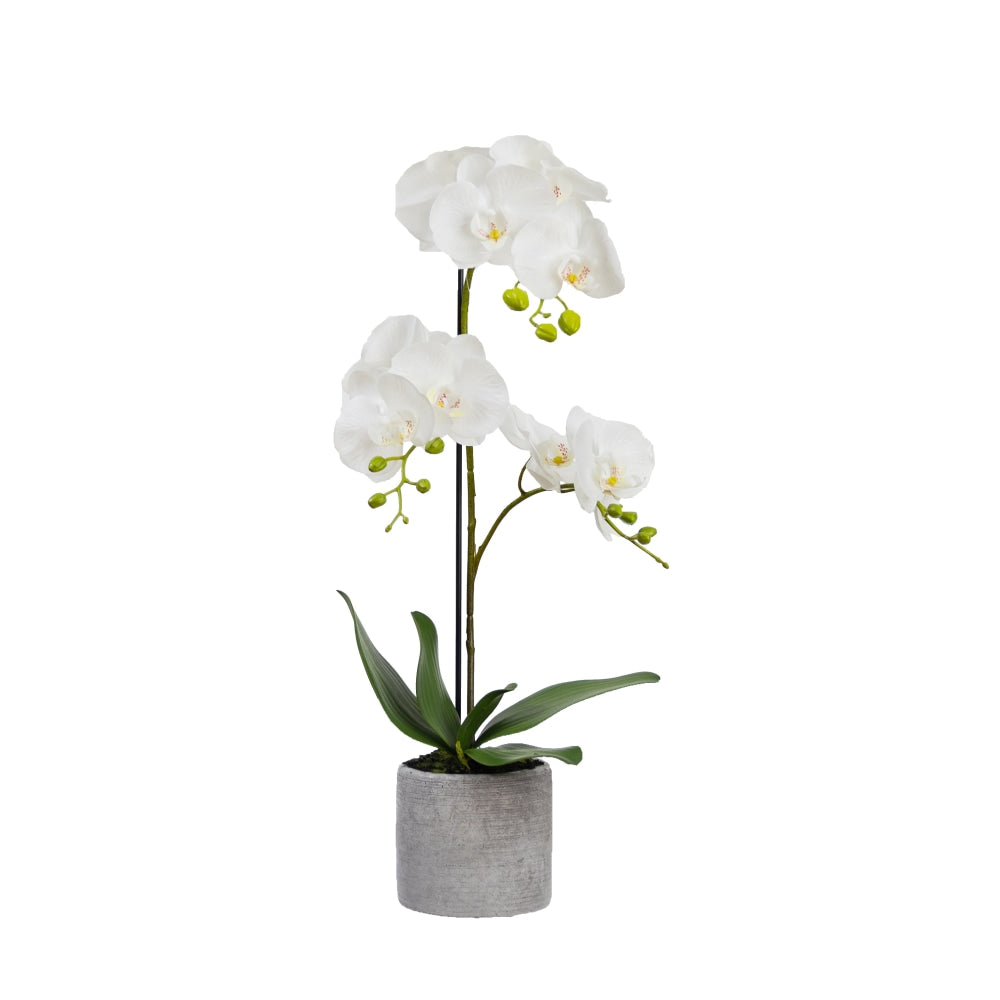 Orchid 65cm White Artificial Faux Plant Decorative Arrangement In Concrete Pot Fast shipping On sale