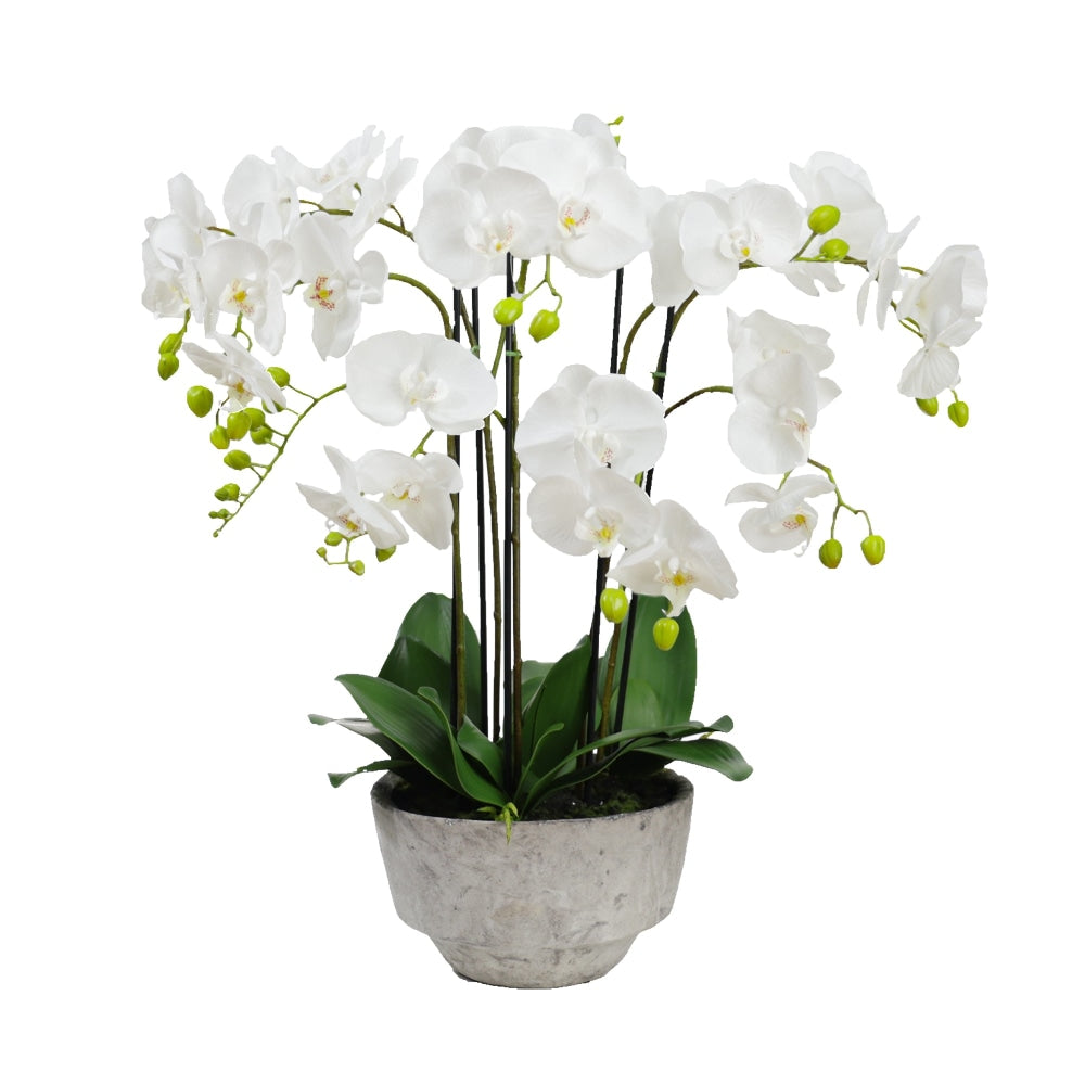 Orchid 78cm White Artificial Faux Plant Decorative Arrangement In Concrete Pot Fast shipping On sale