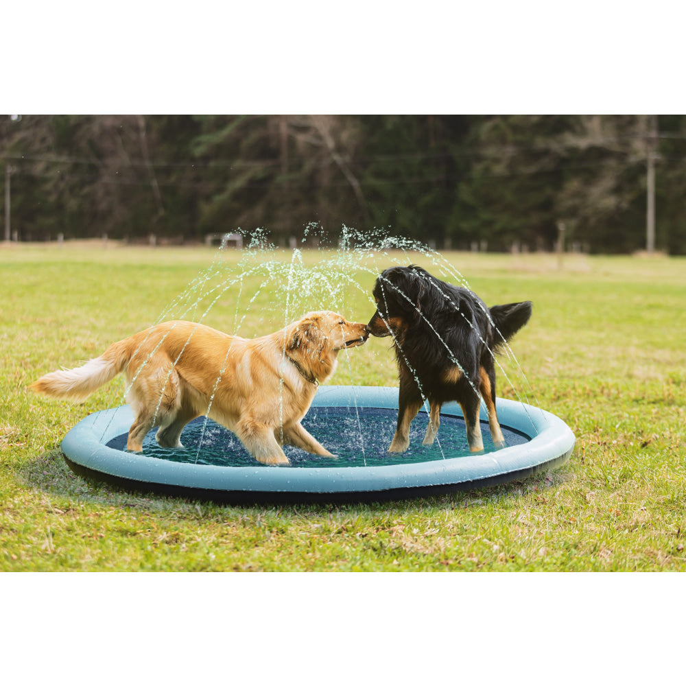 Pawever Pets Sprinkler Mat Large Dog Cares Fast shipping On sale