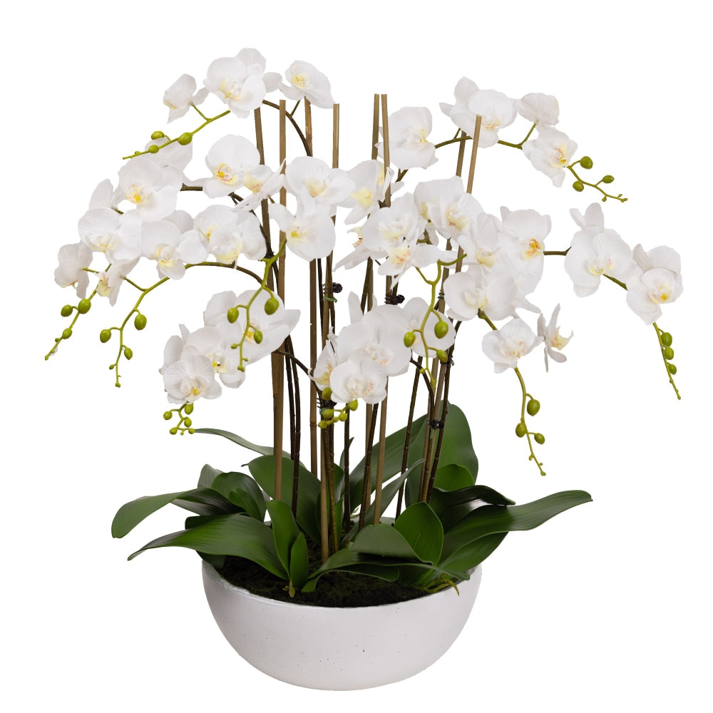 Phalaenopsis Orchid Artificial Plant Flower Decorative Large 75cm Ceramic Pot - White Fast shipping On sale