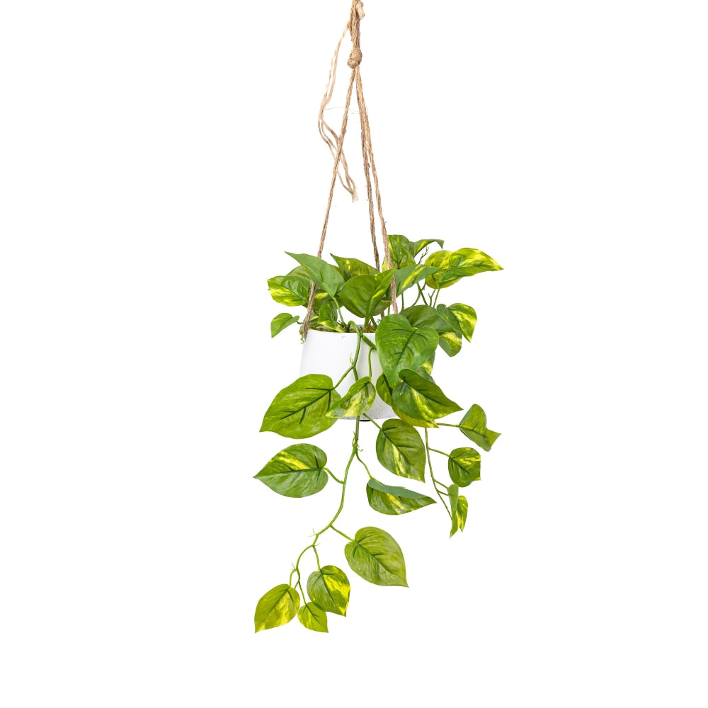 Pothos Artificial Faux Plant Decorative 62cm In Small Hanging Pot Fast shipping On sale