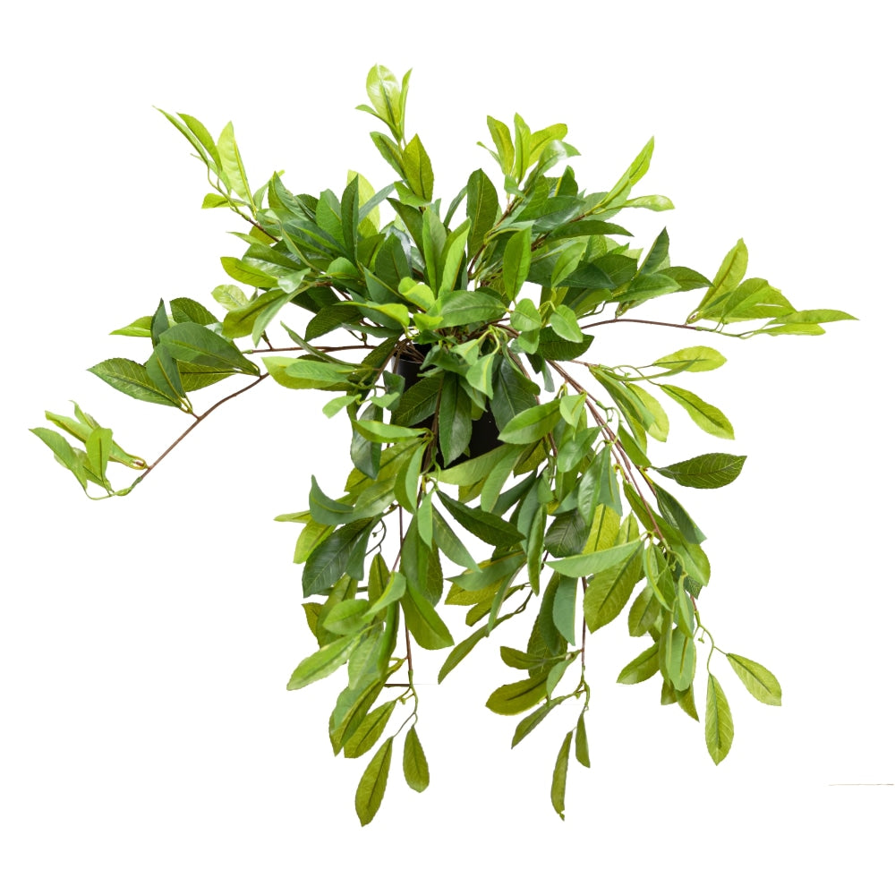 Potted Laurel Artificial Faux Plant Decorative With Planter Green Fast shipping On sale