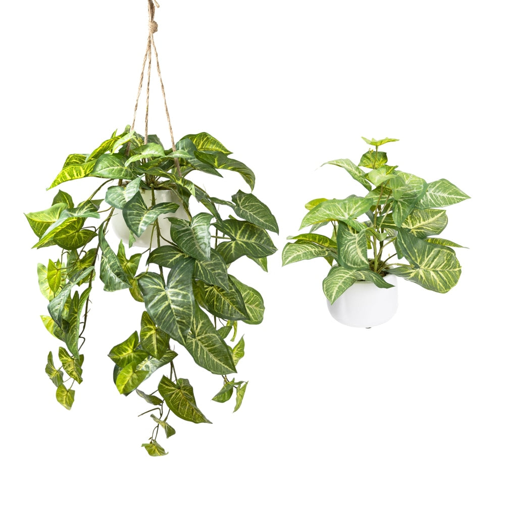 Potted Syngonium Artificial Faux Plant Decorative Set Green Fast shipping On sale