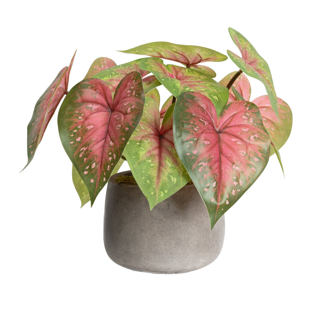 Red Caladium 30cm Artificial Plant Flower Arrangement Decorative In Pot Fast shipping On sale